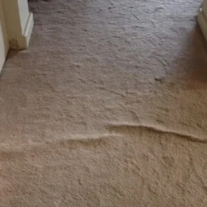 Carpet Wrinkle Repair Melbourne