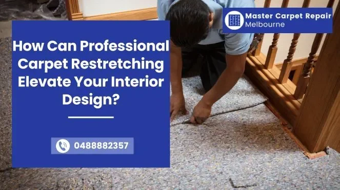 Professional Carpet Damage Repair