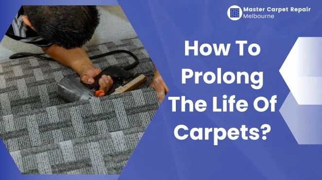 Life Of Carpets