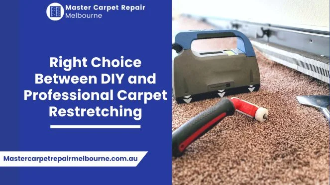 DIY and Professional Carpet Damage