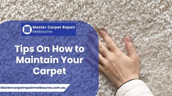 Tips On How to Maintain Your Carpet