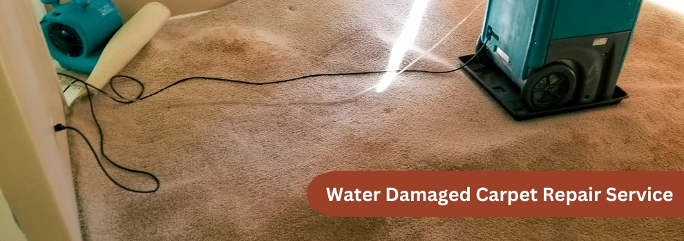 Water Damaged Carpet Repair