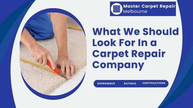 What We Should Look For In a Carpet Repair Company