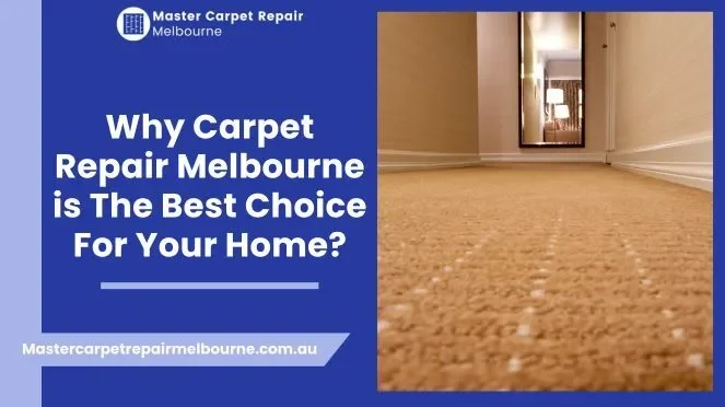 Best Choice For Carpet Damage