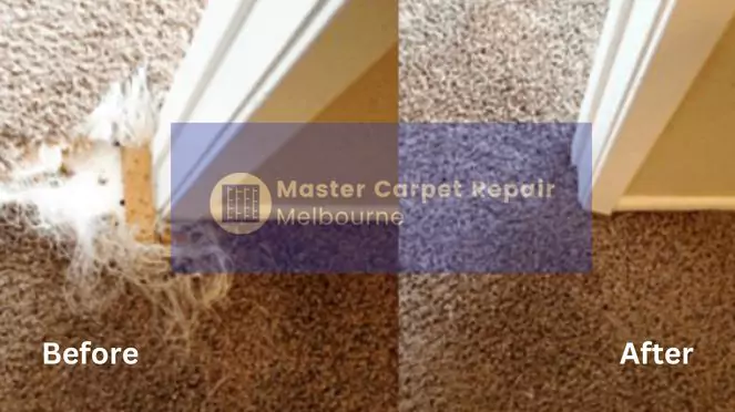 Carpet Repair Patterson Lakes Before After